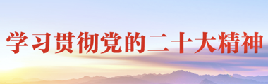 学习贯彻党的二十大精神